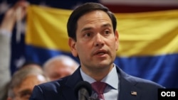 Senador Marco Rubio. 