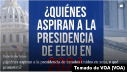 ¿Quiénes aspiran a la presidencia de Estados Unidos y qué prometen?