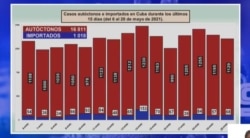 Casos autóctonos e importados de COVID19 en cuba en los últimos 15 días. (Captura de video/MINSAP)