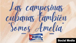 Cartel creado por FLAMUR, en solidaridad con Amelia Calzadilla.