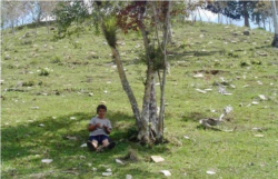 María Dolores en Candelaria, Pinar del Río