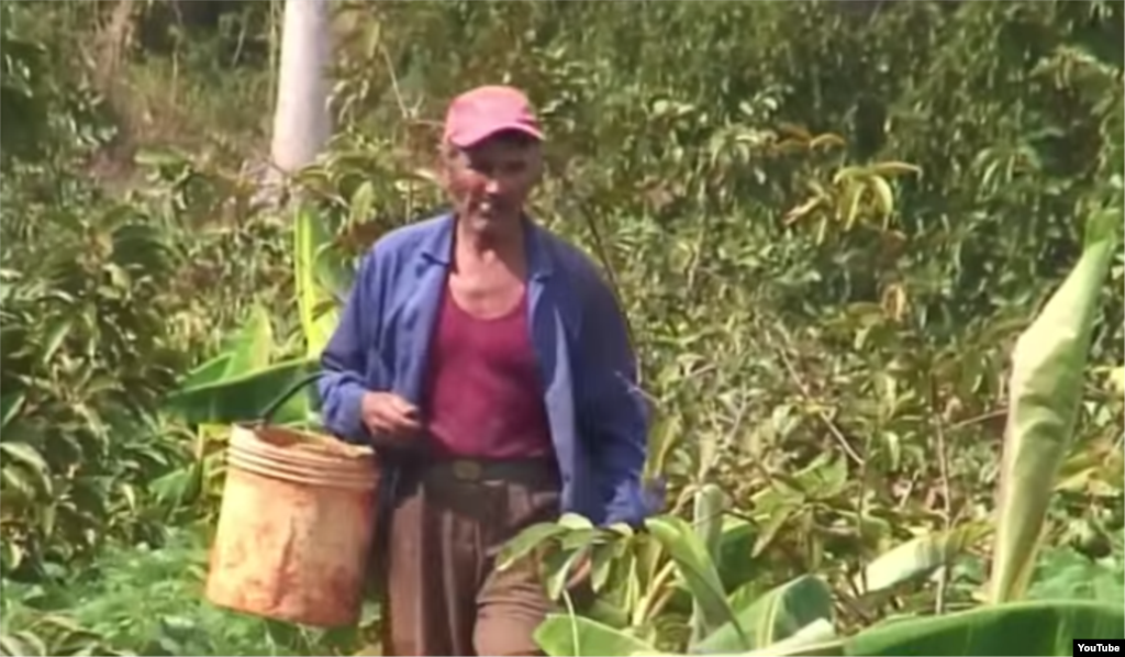 Reporta Cuba. Intensa sequía afecta a toda la isla.