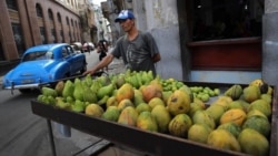 Campesinos se quejan de exclusión de mercado mayorista