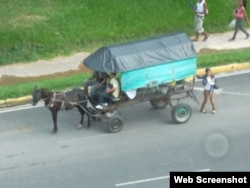 Los caballos deben tirar coches muy pesados