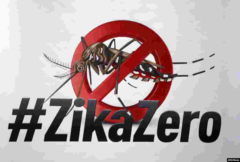 Un cartel de movilización contra el mosquito Aedes aegypti que transmite el Zika. EFE