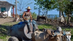 El gobierno asfixia a los campesinos con la subida de costos de producción