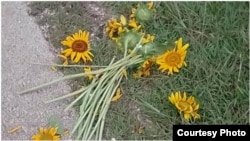 Policía destruye flores para homenaje a Payá y Cepero Foto cortesía deOtoniel Cruz 