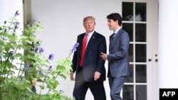 FOTO ARCHIVO. Donald Trump y el primer ministro canadiense, Justin Trudeau, en la Oficina Oval de la Casa Blanca en Washington, DC, el 11 de octubre de 2017.