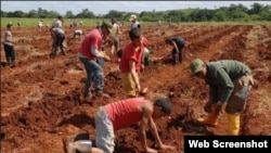 Cubanos rechazan medidas anunciadas por autoridades de Educación