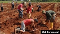 Jóvenes trabajando la tierra en una escuela al campo.