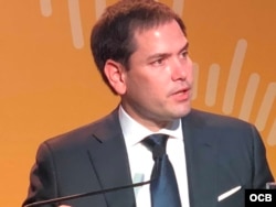 Senador Marco Rubio en la Cumbre de las Américas en Lima, Perú.