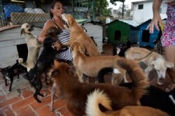 Noris juega con los perros en un refugio privado para animales en La Habana. (YAMIL LAGE / AFP)