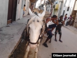 Alquiler de coches en Centro Habana.