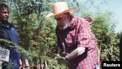 Fidel Castro en labores agrícolas con la moringa. 