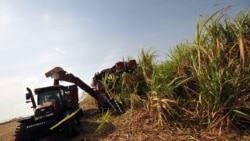 Cuba afronta la peor zafra de los últimos 150 años