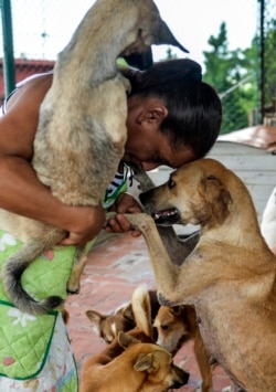 Noris acoge en su vivienda a 23 gatos y 38 perros. (YAMIL LAGE / AFP)