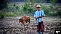 Un campesino de Jiguaní, Granma. Foto tomada en 2018. YAMIL LAGE / AFP