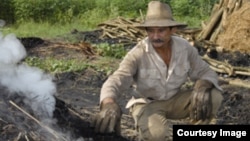 Haciendo hornos para carbon 