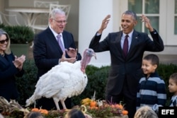 PRESIDENTE OBAMA PERDONA LA VIDA AL PAVO NACIONAL DURANTE UNA CEREMONIA DE ACCIÓN DE GRACIAS