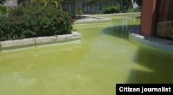 La piscina del hotel Grand Memories Varadero donde enfermó la turista británica Sue Brewer. Luego se tornó más verde y fue cerrada.