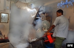 Un hombre fumiga una vivienda como parte de la campaña contra el mosquito "Aedes aegipti", transmisor del dengue. Foto de archivo