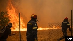 Bomberos griegos entran en un campo tras abrir una valla mientras intentan extinguir un incendio forestal cerca de Penteli. (Foto de Angelos TZORTZINIS / AFP)