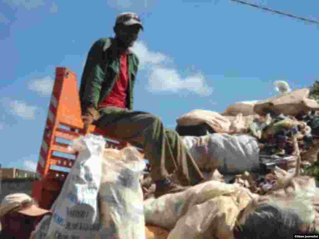 Recogida de desechos Guira de Melena Foto Jorge Bello