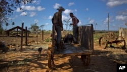 Campesinos cubanos. AP Photo/Ramon Espinosa