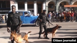 Perros sin bozales para reprimir a ciudadanos