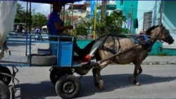 Aumenta presión del gobierno contra transportistas privados en Sancti Spíritus