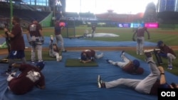 Los peloteros de los Cachorros entrenan en el Marlins Park de Miami antes del inicio del primer partido de la MLB 2018. Foto Edemio Navas