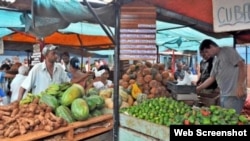 Carretilleros y placitas agropecuarias en Guantánamo