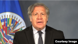 Luis Almagro, 21 de mayo de 2018 (captura de pantalla).