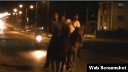 Reporta Cuba. Caballos en Marianao.