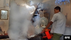 Un hombre fumiga una vivienda como parte de la campaña contra el mosquito "Aedes aegipti", transmisor del dengue. Foto de archivo