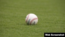 Pelota de Grandes Ligas.