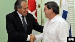 Los cancilleres de Cuba, Bruno Rodríguez (der) y de Uruguay, Luis Almagro (izq), se saludan durante un encuentro el 18 de febrero de 2013, en La Habana (Cuba).