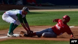 Serie del Caribe en Panamá. (Luis ACOSTA / AFP)